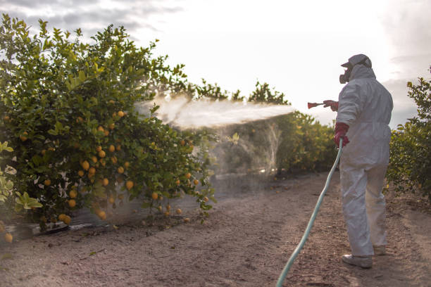 Best Insect Control  in Mont Clare, PA
