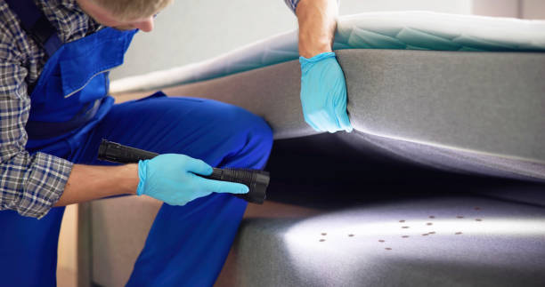 Best Pest Control for Businesses  in Mont Clare, PA
