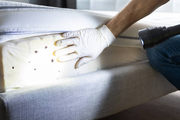 Best Residential Pest Control  in Mont Clare, PA