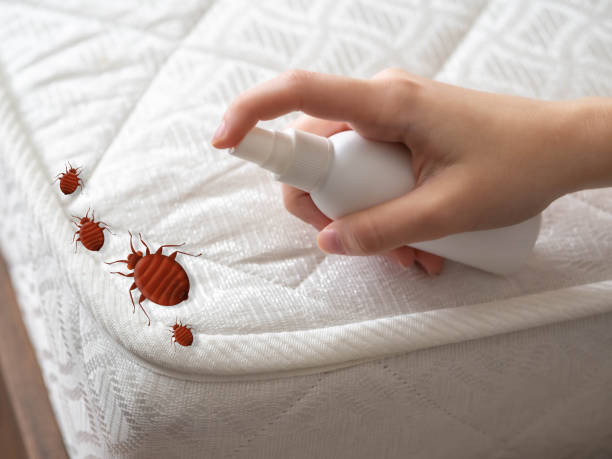 Best Bed Bug Extermination  in Mont Clare, PA
