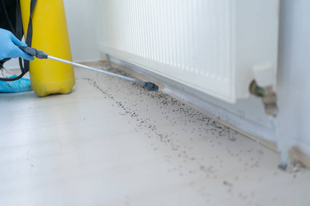 Best Affordable Pest Control Services  in Mont Clare, PA